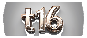t16 logo